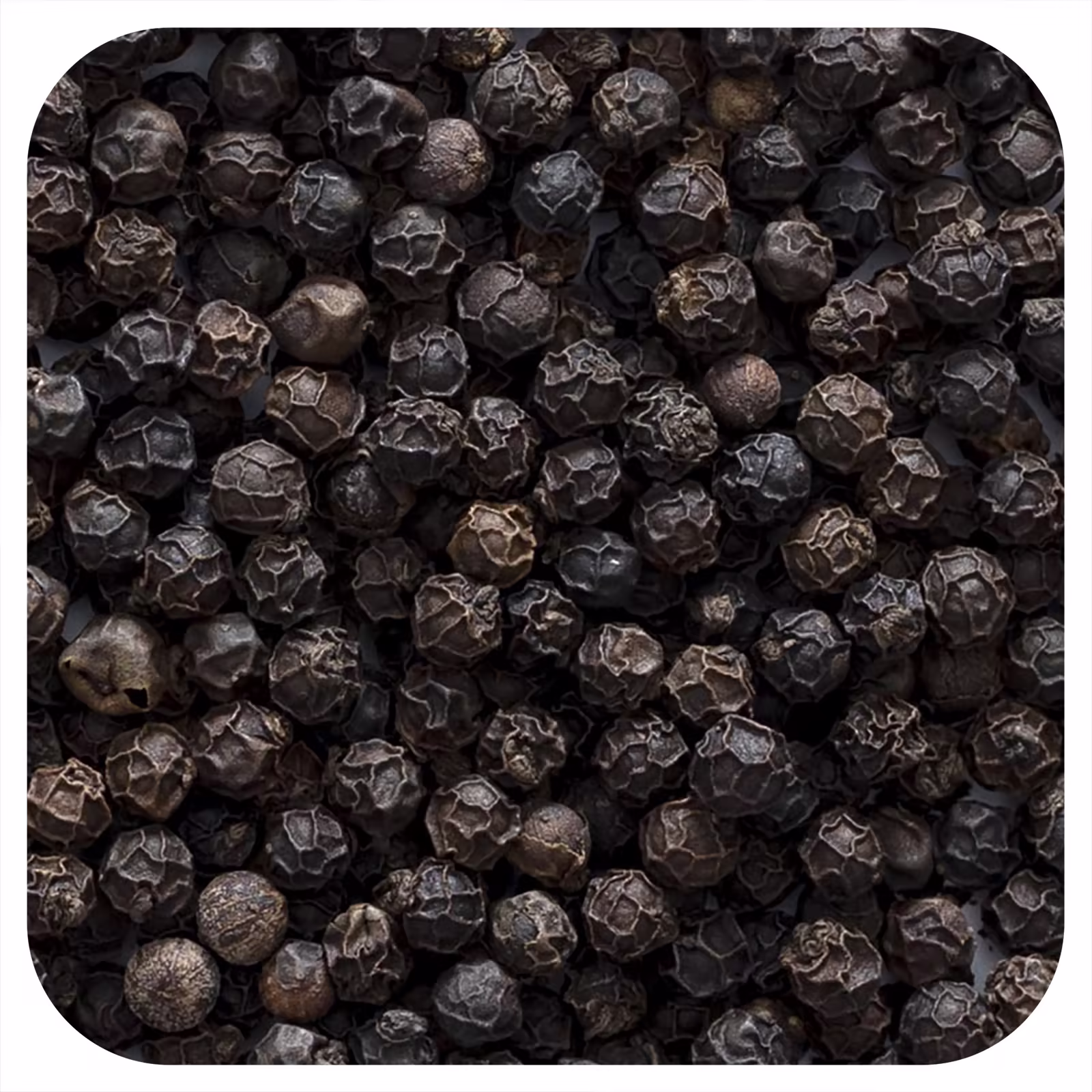 Black Pepper