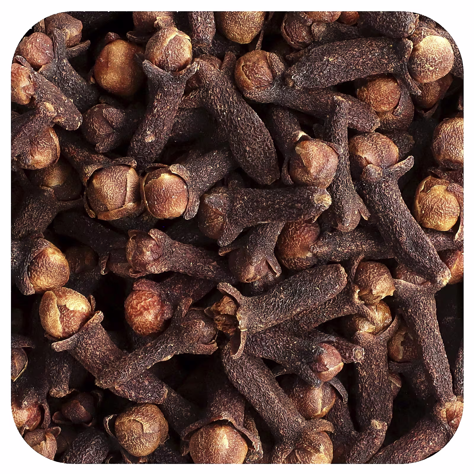 Clove
