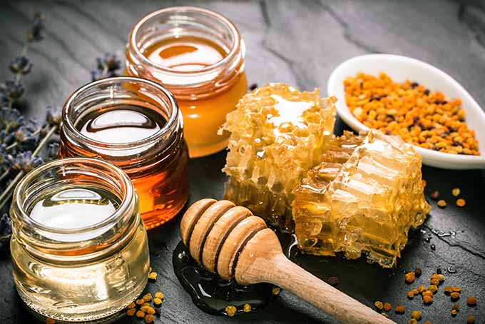 Forest Honey